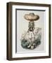 Cucurbitus, c.1861-Amedee Varin-Framed Giclee Print