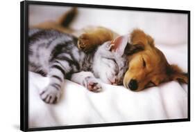 Cuddles (Sleeping Puppy and Kitten) Art Poster Print-null-Framed Poster