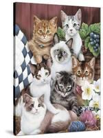 Cuddly Kittens-Jenny Newland-Stretched Canvas