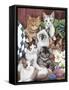 Cuddly Kittens-Jenny Newland-Framed Stretched Canvas