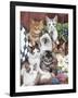 Cuddly Kittens-Jenny Newland-Framed Giclee Print