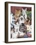 Cuddly Kittens-Jenny Newland-Framed Giclee Print