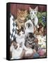 Cuddly Kittens-Jenny Newland-Framed Stretched Canvas