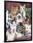 Cuddly Kittens-Jenny Newland-Framed Giclee Print