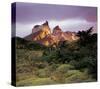 Cuernes del Paine Torres-null-Stretched Canvas