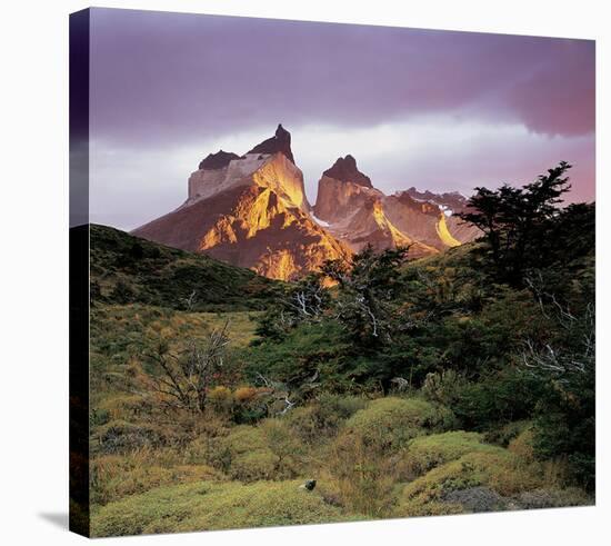 Cuernes del Paine Torres-null-Stretched Canvas