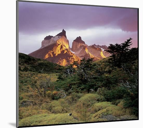 Cuernes del Paine Torres-null-Mounted Art Print