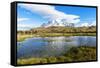 Cuernos Del Paine, Torres Del Paine National Park, Chilean Patagonia, Chile-G & M Therin-Weise-Framed Stretched Canvas