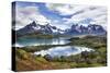 Cuernos del Paine-Larry Malvin-Stretched Canvas