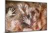 Cueva de las Manos (Cave of Hands), UNESCO World Heritage Site, Patagonia, Argentina-Alex Treadway-Mounted Photographic Print