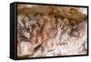 Cueva de las Manos (Cave of Hands), UNESCO World Heritage Site, Patagonia, Argentina-Alex Treadway-Framed Stretched Canvas