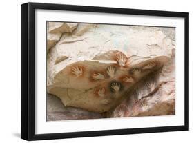 Cueva de las Manos (Cave of Hands), UNESCO World Heritage Site, Patagonia, Argentina-Alex Treadway-Framed Photographic Print