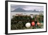 Cuillin Hills from Elgol, Isle of Skye, Highland, Scotland-Peter Thompson-Framed Photographic Print