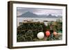 Cuillin Hills from Elgol, Isle of Skye, Highland, Scotland-Peter Thompson-Framed Photographic Print