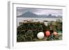 Cuillin Hills from Elgol, Isle of Skye, Highland, Scotland-Peter Thompson-Framed Photographic Print