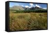 Cuillin Hills from Glen Brittle, Isle of Skye, Highland, Scotland-Peter Thompson-Framed Stretched Canvas