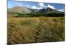 Cuillin Hills from Glen Brittle, Isle of Skye, Highland, Scotland-Peter Thompson-Mounted Photographic Print