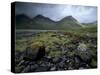 Cuillin Hills from the Shores of Loch Slapin, Isle of Skye, Highland Region, Scotland, UK-Patrick Dieudonne-Stretched Canvas