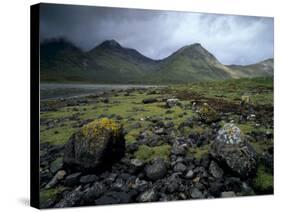 Cuillin Hills from the Shores of Loch Slapin, Isle of Skye, Highland Region, Scotland, UK-Patrick Dieudonne-Stretched Canvas