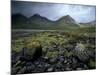 Cuillin Hills from the Shores of Loch Slapin, Isle of Skye, Highland Region, Scotland, UK-Patrick Dieudonne-Mounted Photographic Print