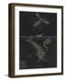 Culex: Mosquito-Philip Henry Gosse-Framed Giclee Print