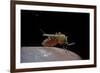 Culex Pipiens (Common House Mosquito) - Biting-Paul Starosta-Framed Photographic Print