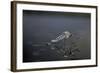 Culex Pipiens (Common House Mosquito) - Emerging (D11)-Paul Starosta-Framed Photographic Print