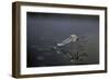 Culex Pipiens (Common House Mosquito) - Emerging (D11)-Paul Starosta-Framed Photographic Print