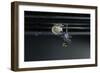 Culex Pipiens (Common House Mosquito) - Emerging of the Pupa-Paul Starosta-Framed Photographic Print