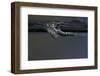Culex Pipiens (Common House Mosquito) - Exuvia under the Water Surface-Paul Starosta-Framed Photographic Print