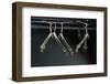 Culex Pipiens (Common House Mosquito) - Larvae-Paul Starosta-Framed Photographic Print