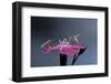 Culex Pipiens (Common House Mosquito) - Male with Female-Paul Starosta-Framed Photographic Print