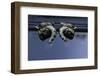 Culex Pipiens (Common House Mosquito) - Old Pupae-Paul Starosta-Framed Photographic Print