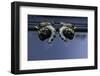 Culex Pipiens (Common House Mosquito) - Old Pupae-Paul Starosta-Framed Photographic Print