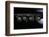 Culex Pipiens (Common House Mosquito) - Pupae-Paul Starosta-Framed Photographic Print