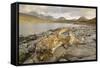 Cullin Mountains from Loch Slapin, Isle of Skye, Inner Hebrides, Scotland, United Kingdom, Europe-Gary Cook-Framed Stretched Canvas