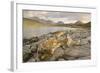 Cullin Mountains from Loch Slapin, Isle of Skye, Inner Hebrides, Scotland, United Kingdom, Europe-Gary Cook-Framed Photographic Print