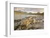 Cullin Mountains from Loch Slapin, Isle of Skye, Inner Hebrides, Scotland, United Kingdom, Europe-Gary Cook-Framed Photographic Print