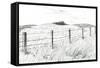 Culter Fell from Hartfell, 2005,-Vincent Alexander Booth-Framed Stretched Canvas