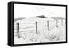 Culter Fell from Hartfell, 2005,-Vincent Alexander Booth-Framed Stretched Canvas