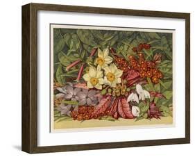 Cultivated and Wild: Hyacinthus-null-Framed Art Print