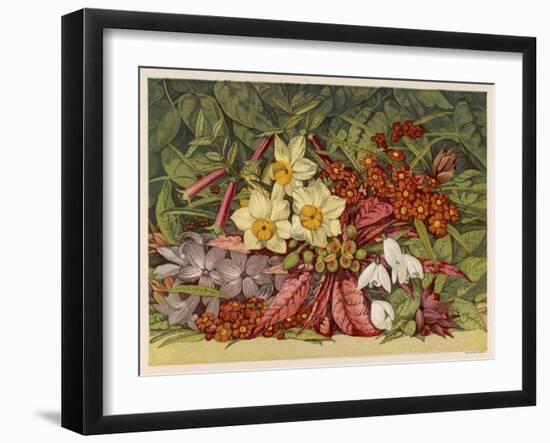 Cultivated and Wild: Hyacinthus-null-Framed Art Print