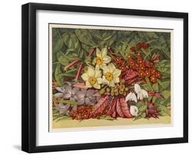 Cultivated and Wild: Hyacinthus-null-Framed Art Print