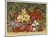 Cultivated and Wild: Hyacinthus-null-Mounted Art Print