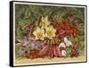 Cultivated and Wild: Hyacinthus-null-Framed Stretched Canvas