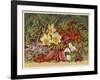 Cultivated and Wild: Hyacinthus-null-Framed Art Print