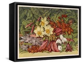 Cultivated and Wild: Hyacinthus-null-Framed Stretched Canvas