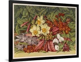 Cultivated and Wild: Hyacinthus-null-Framed Art Print