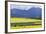 Cultivated Fields and Cattle, Moho, Bordering on Lake Titicaca, Peru-Peter Groenendijk-Framed Photographic Print