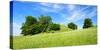 Cultivated Landscape with Hills and Trees, Agriculturally Extensively Used Meadows, Bavaria-Andreas Vitting-Stretched Canvas